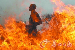 ӢС��조��пᾺ����ѡ���˱�������𺣣�ͼ��