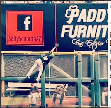 MLB球员“壁虎上身”两度上墙没收全垒打(图)