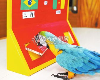 ����������ĵ��Ĵ�Ԥ��������ͦ��ɣ�;�����ͼ��