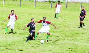 百年草根俱乐部:训练场地糟糕手套破烂不堪(图)