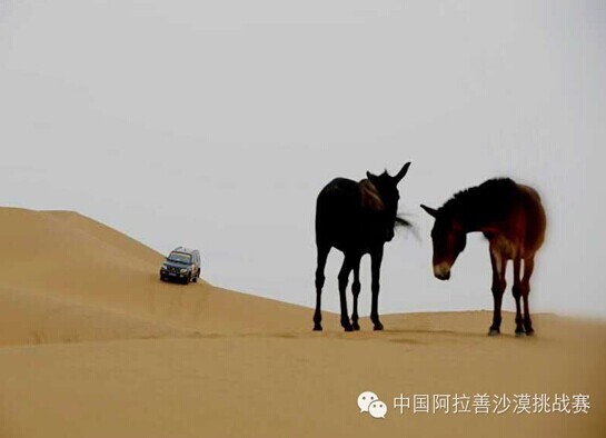 Ⱥ�۽�ָ�����Ʋ���ʥ�ش����¸���������Ƭ