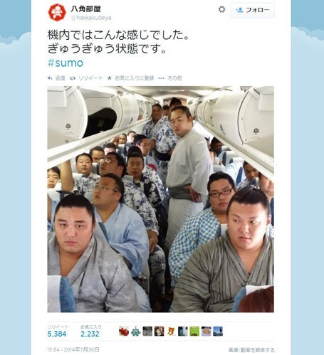 相扑选手集体乘机照爆红网友很明显超载图