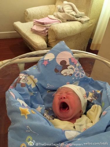 ����������˳������ǧ��������������ˣ�ͼ��