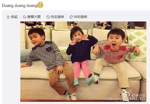 李小鹏晒奥莉与男孩玩耍照网友调侃:别早恋(图)