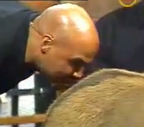 点图查看下一页