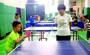 ����ھ������԰���ֲ�������ְ�۲�������