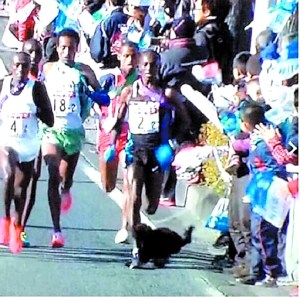 ������������������ʹʧ�������������ھ���ͼ��