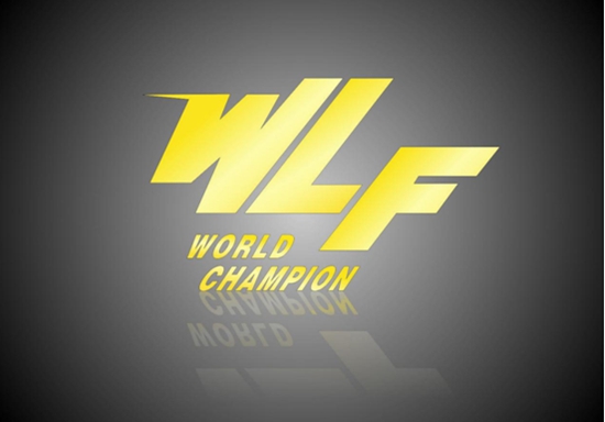 WLF世界自由搏击理事换届开启“国际化”新时代