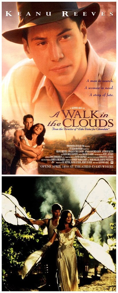 云中漫步葡萄酒电影中最为华美的一幕