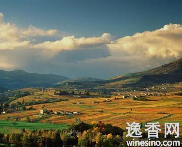 隆河谷欲抢占中国精品葡萄酒投资市场(图)
