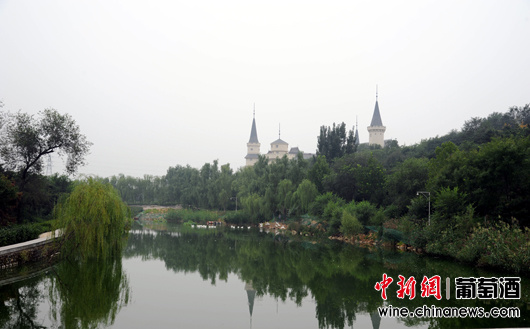 点图查看下一页