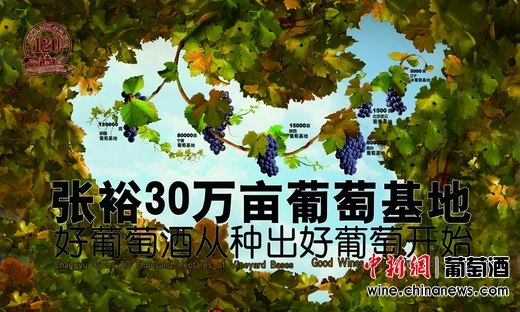 点图查看下一页
