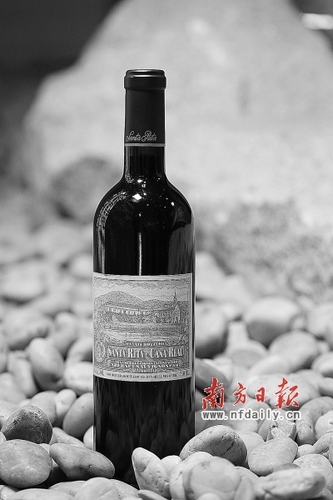 节日派对美酒与美食激情碰撞