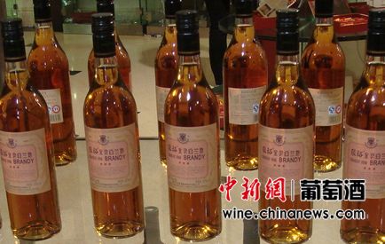 Ӧ�꼾����������֪�������������ɺ��Ժ���