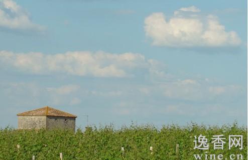 ������ѾƲ�����������ּ��ƶ�֪���٣�ͼ��