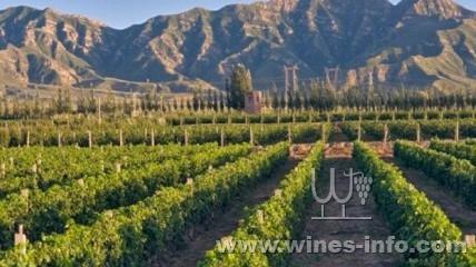 Vinexpo���й����Ѿ����ѽ��ϳ�Ӣ����ͼ��