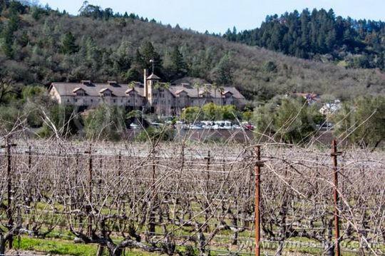 纳帕谷期酒拍卖成交总额达304万美元(图)