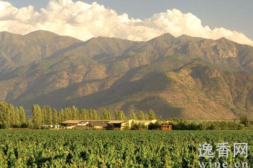 �߽��������ѾƲ��������������ѾƷ��飨ͼ��