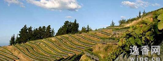 �����������ӭ�������겻�����ĺ���ݣ�ͼ��