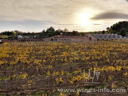 �����ݾƲ��������������߲���������ͼ��