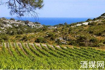 GérardBertrand斥资千万欧元在法国建加州式酒厂