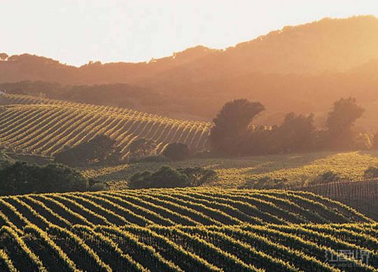 ������2013��ӭ�������롱�����ճɣ�ͼ��