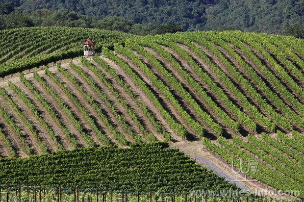 �������ո������Ѳ��տ�ʼ�����ɽ���������