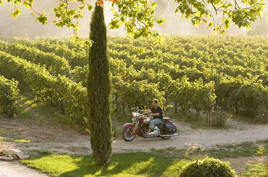 葡萄酒电影:寻找遗失的美好(图)