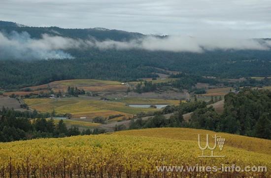 2014����ֵ�ù�ע��6�����ѾƲ�����ͼ��