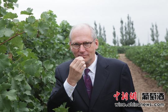 �µ���ý��ר����ԣĦ����ʮ������ׯ��ϯ���ʦ