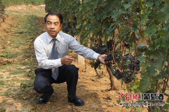 ��ԣ���ѻ����������ȫ���������԰ӵ���ߣ�ͼ��