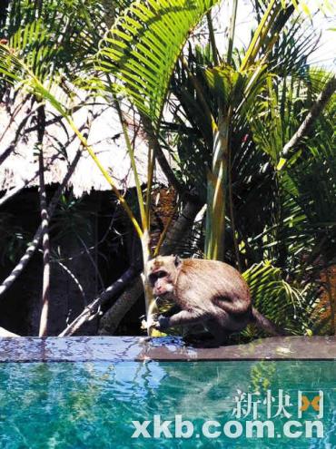 ���س�����طط�������������͵���ݻ���䣨ͼ����2��