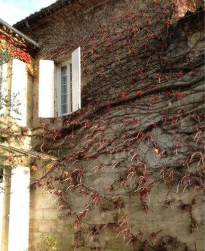 ��ޱ��ɹ��ŮС��������ͥԺ��Ϸ������Ƥ��ͼ����3��