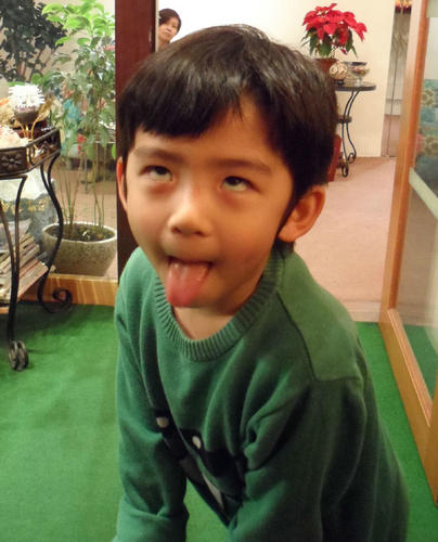 �����֥��Lucas����ˮʦ�����ع��������飨ͼ����2��