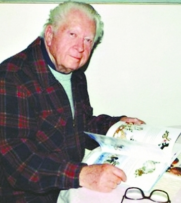 点图查看下一页