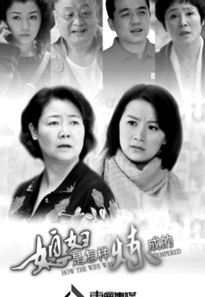 伦理片排行榜在线观看_十大经典电视剧排行榜之十佳家庭伦理剧,各种家庭喜剧狂乱(2)