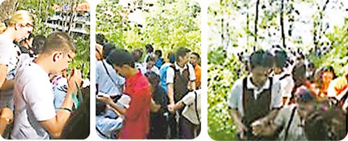 点图查看下一页