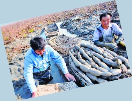 点图查看下一页