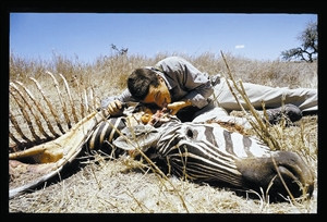 点图查看下一页