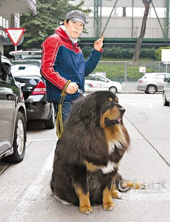 点图查看下一页