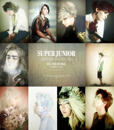 SuperJunior发新专辑粉丝热捧积极翻译歌词
