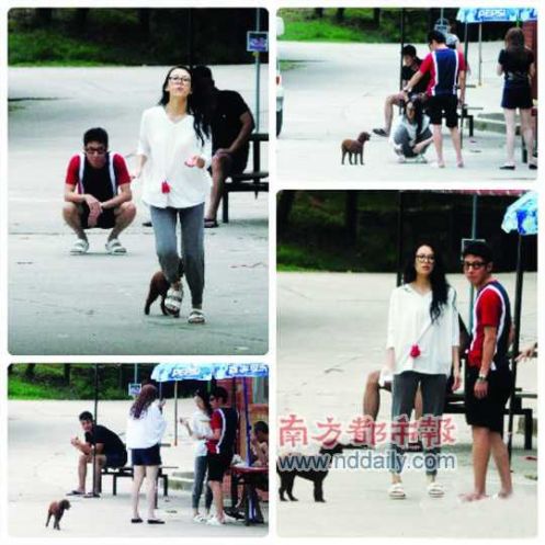 章子怡撒贝宁亲密逗狗恋情曝光经纪人:无法回应