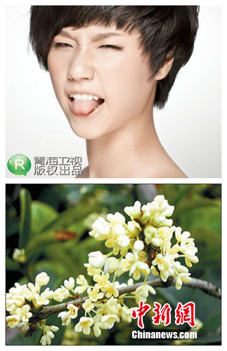 点图查看下一页