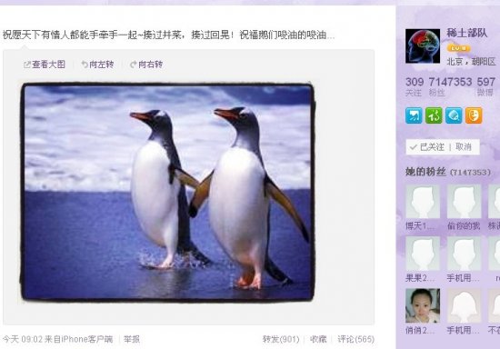 章子怡七夕送搞笑祝福网友称其隔空表白撒贝宁