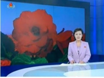 点图查看下一页
