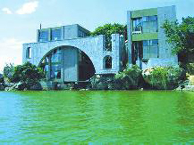 杨丽萍回应建房污染:我这么追求完美怎能不环保
