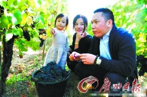 点图查看下一页