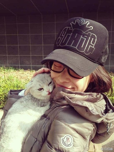冯绍峰晒倪妮逗猫照力证不雅照事件后情未变(图)