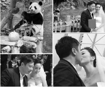 11��ϲ�¶�:Ҧ���������������Ǯ����Ȣ��ӯӯ