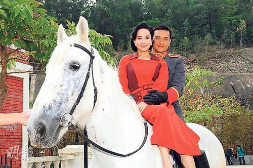 郭羡妮明年底开始造人大计希望生马宝宝(图)